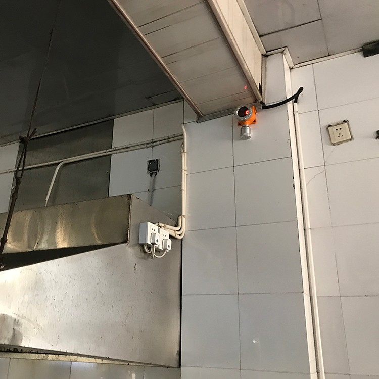 固定式可燃气体检测仪安装场地实拍图