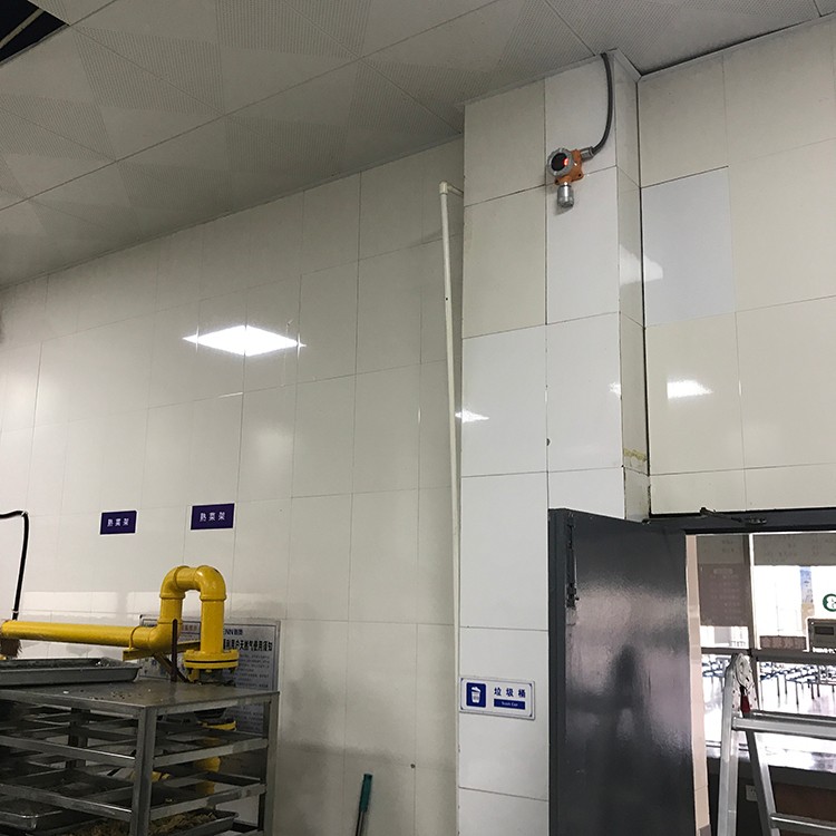 固定式可燃气体检测仪安装场地实拍图