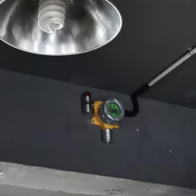 固定式可燃气体检测仪安装场地实拍图